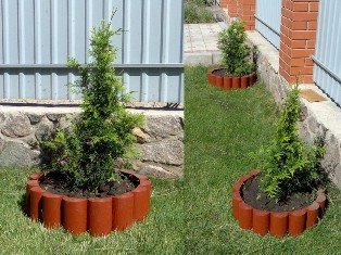 Декоративное ограждение для сада